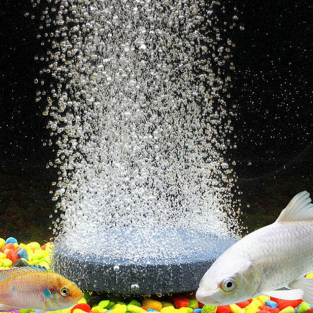 24/7 Zuurstoftoevoer Zwarte Zo - Solar Pond Aerator Oxygen Pump recensie en prijs